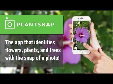 plantsnap-pro-identify-plants-flowers-trees-2-00-11-apk
