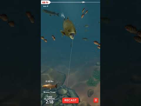 rapala-fishing-daily-catch-1-6-7-mod-unlimited-money