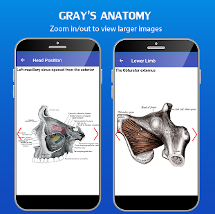 gray-s-atlas-of-anatomy-pro-no-ads-1-1