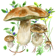 mushrooms-app-61-unlocked
